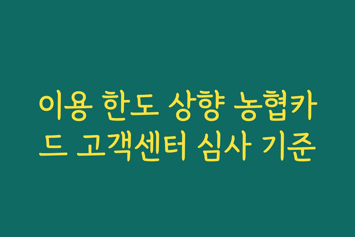 이용 한도 상향 농협카드 고객센터 심사 기준