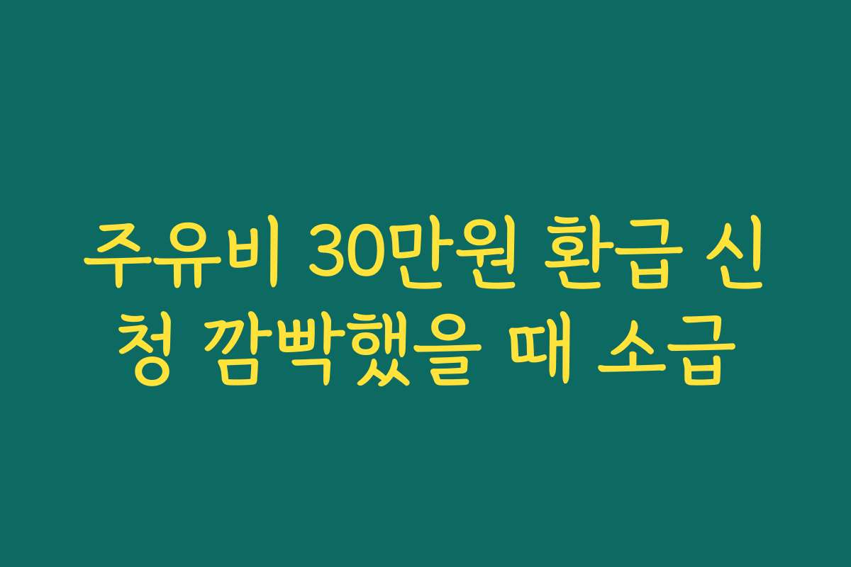 주유비 30만원 환급 신청 깜빡했을 때 소급
