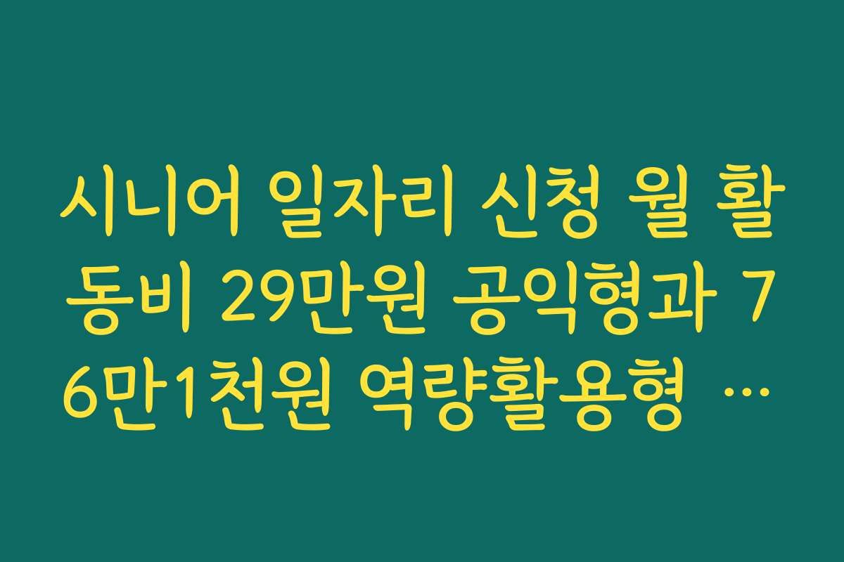 시니어 일자리 신청 월 활동비 29만원 공익형과 76만1천원 역량활용형 차이 비교