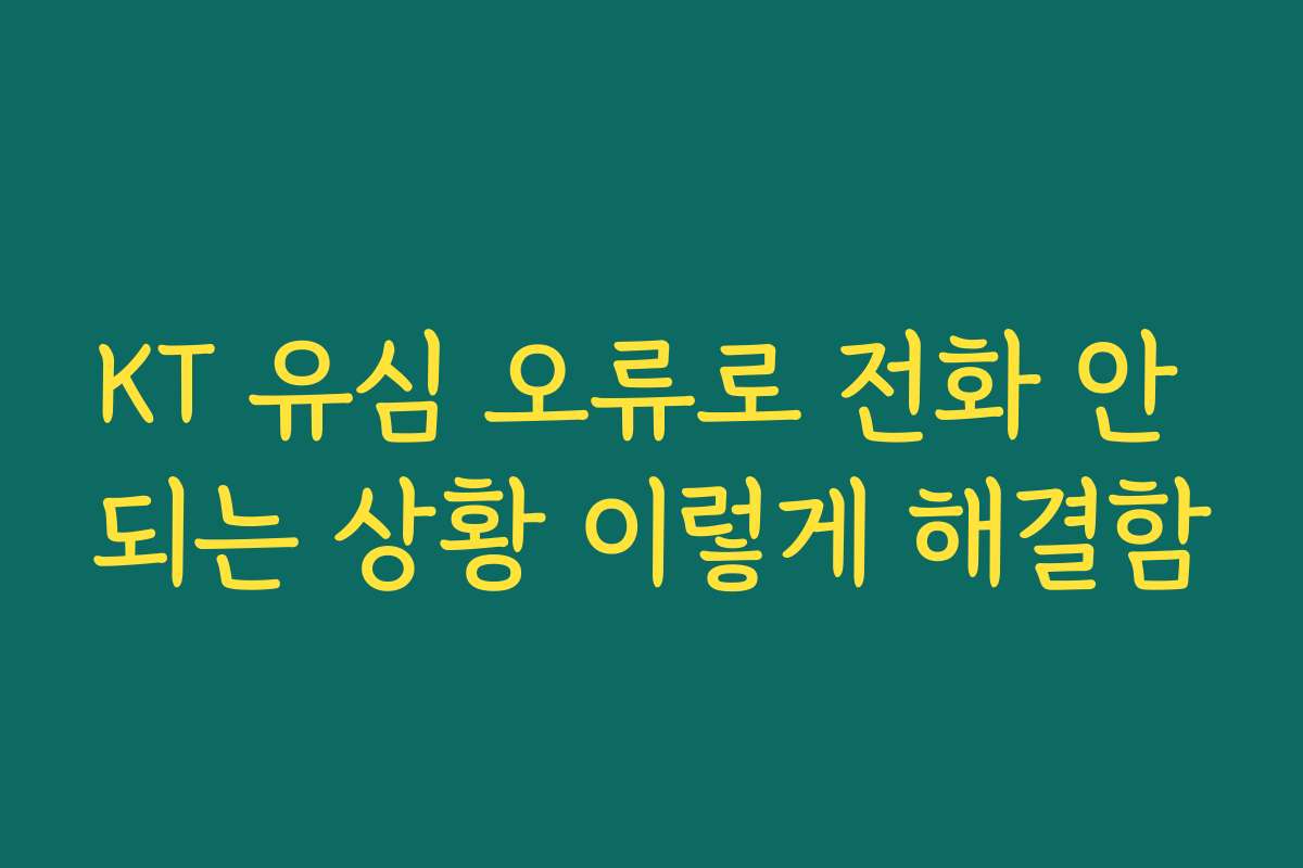 KT 유심 오류로 전화 안 되는 상황 이렇게 해결함