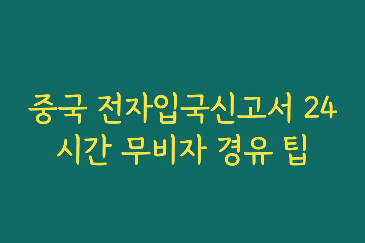 중국 전자입국신고서 24시간 무비자 경유 팁
