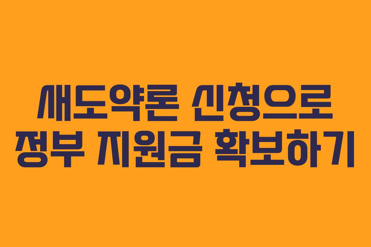 새도약론 신청으로 정부 지원금 확보하기