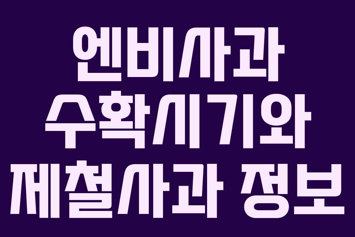 엔비사과 수확시기와 제철사과 정보
