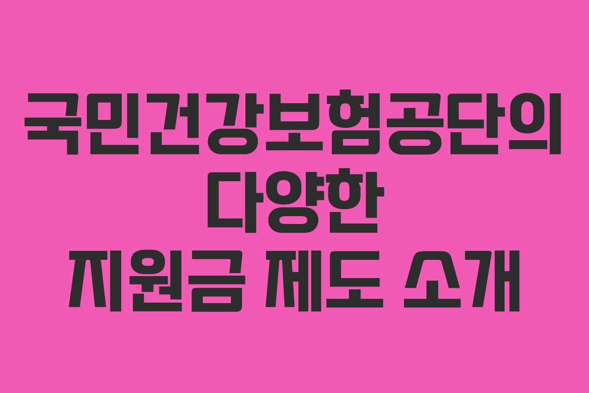 국민건강보험공단의 다양한 지원금 제도 소개