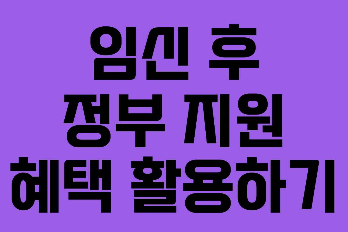 임신 후 정부 지원 혜택 활용하기 임신 후 정부 지원 혜택 활용하기