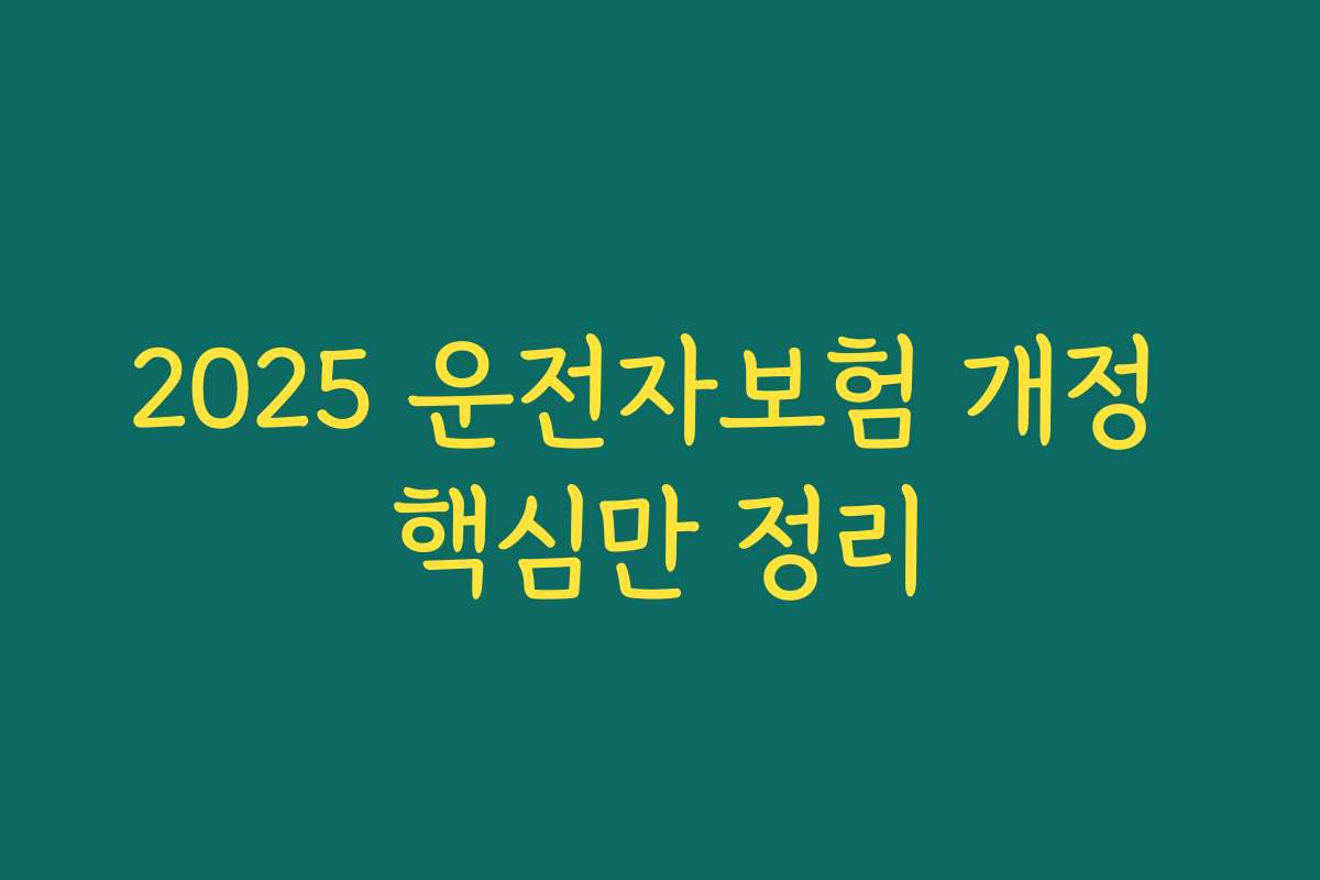 2025 운전자보험 개정 핵심만 정리
