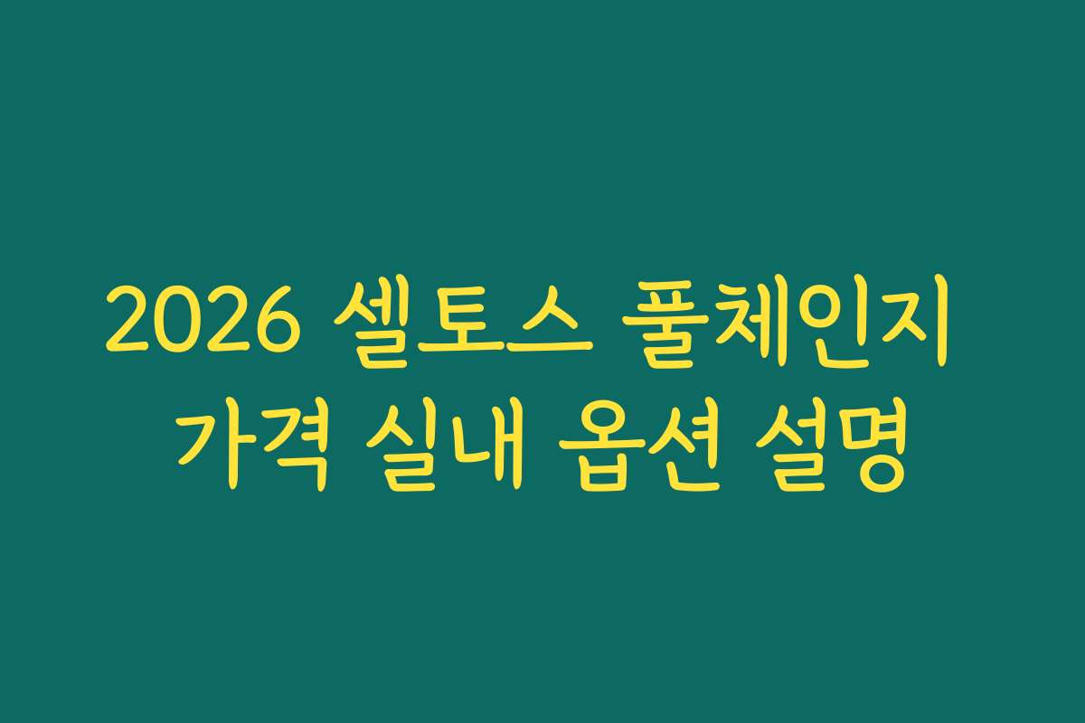 2026 셀토스 풀체인지 가격 실내 옵션 설명