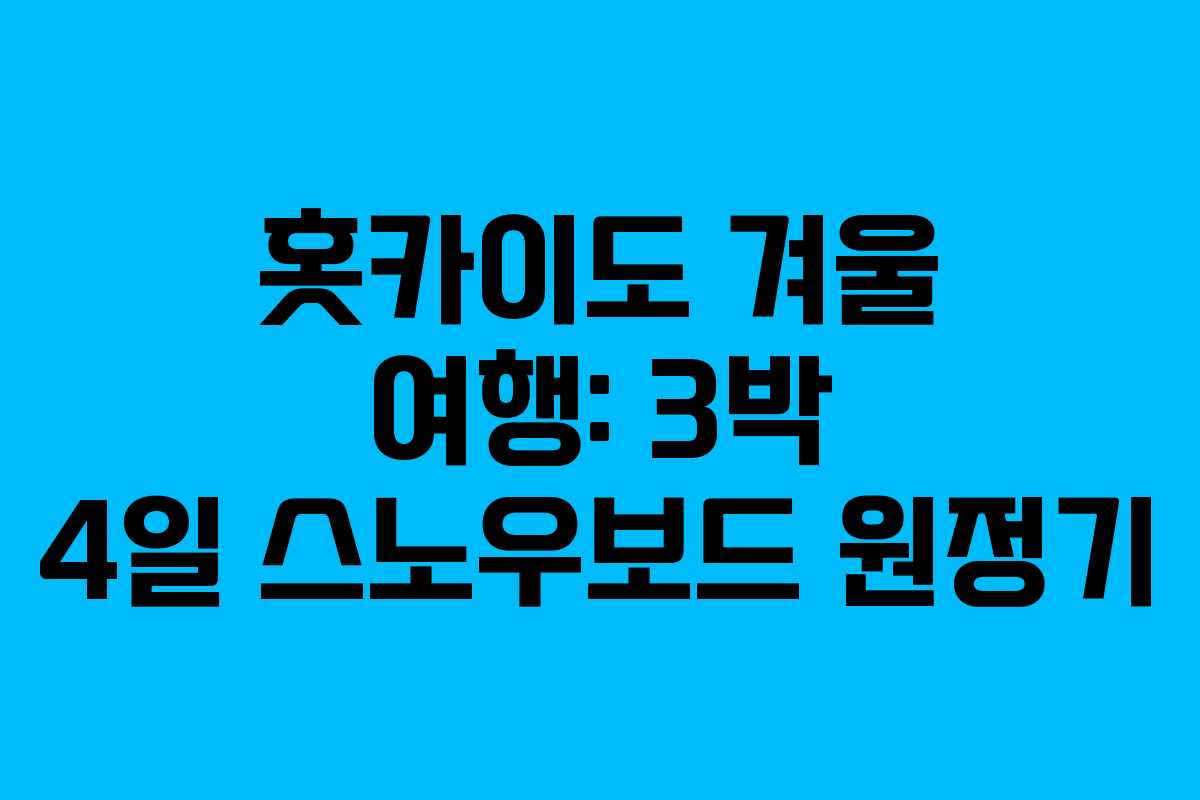 홋카이도 겨울 여행: 3박 4일 스노우보드 원정기
