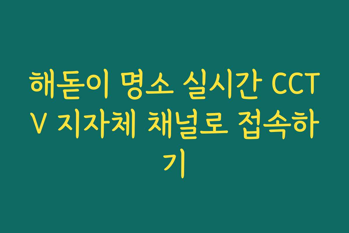 해돋이 명소 실시간 CCTV 지자체 채널로 접속하기