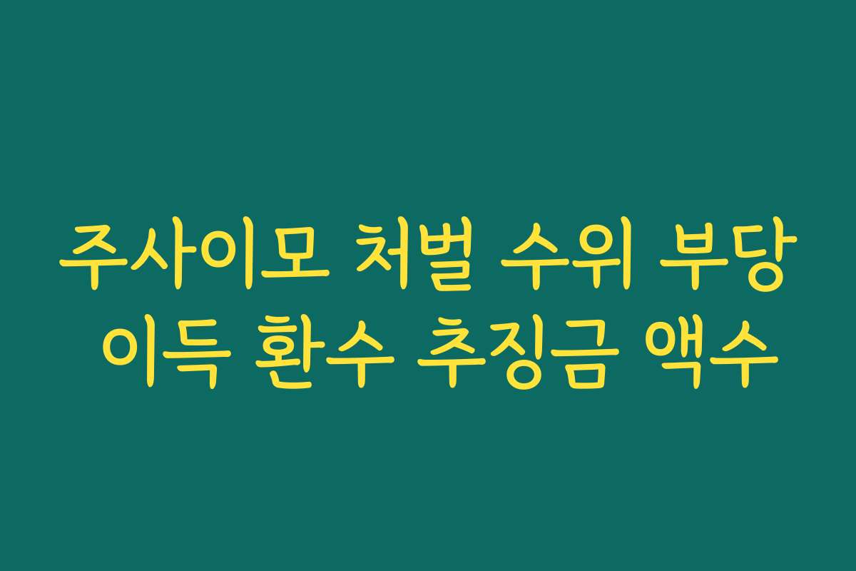 주사이모 처벌 수위 부당 이득 환수 추징금 액수