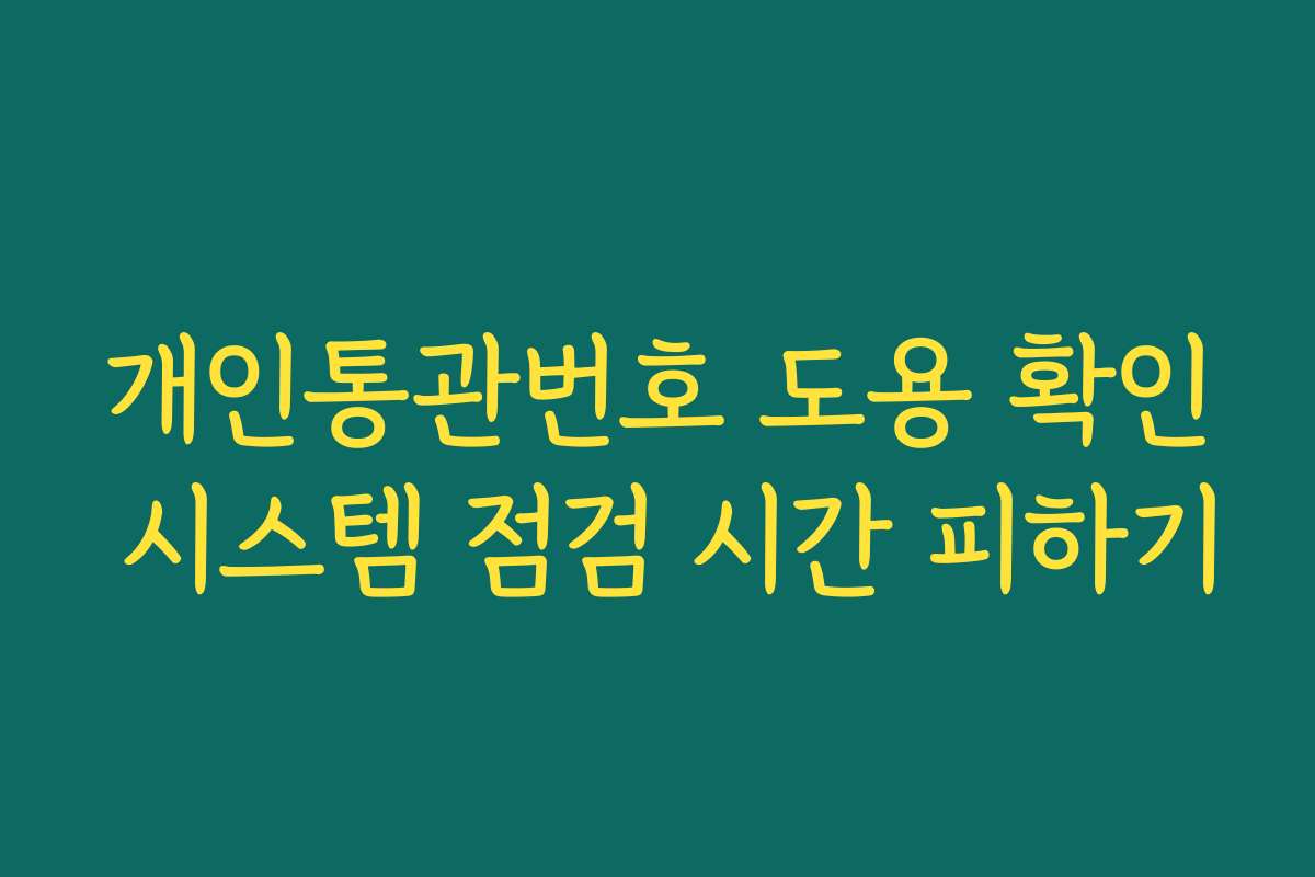 개인통관번호 도용 확인 시스템 점검 시간 피하기