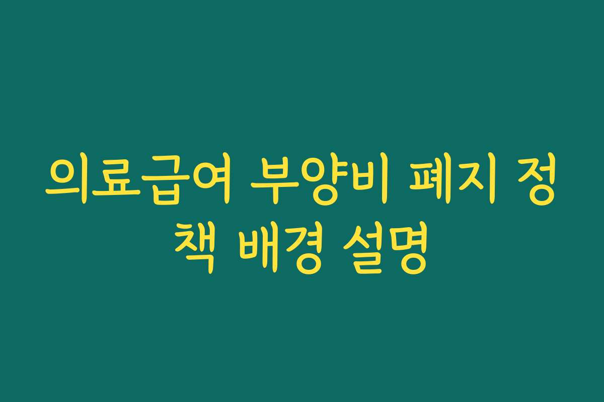 의료급여 부양비 폐지 정책 배경 설명