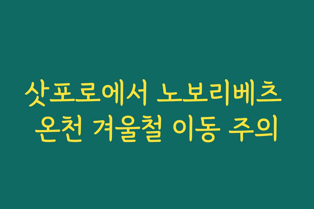 삿포로에서 노보리베츠 온천 겨울철 이동 주의
