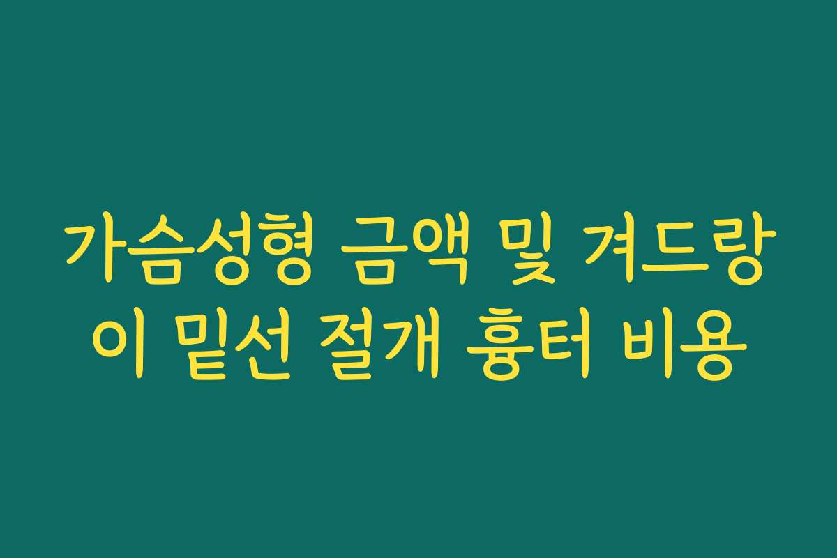 가슴성형 금액 및 겨드랑이 밑선 절개 흉터 비용