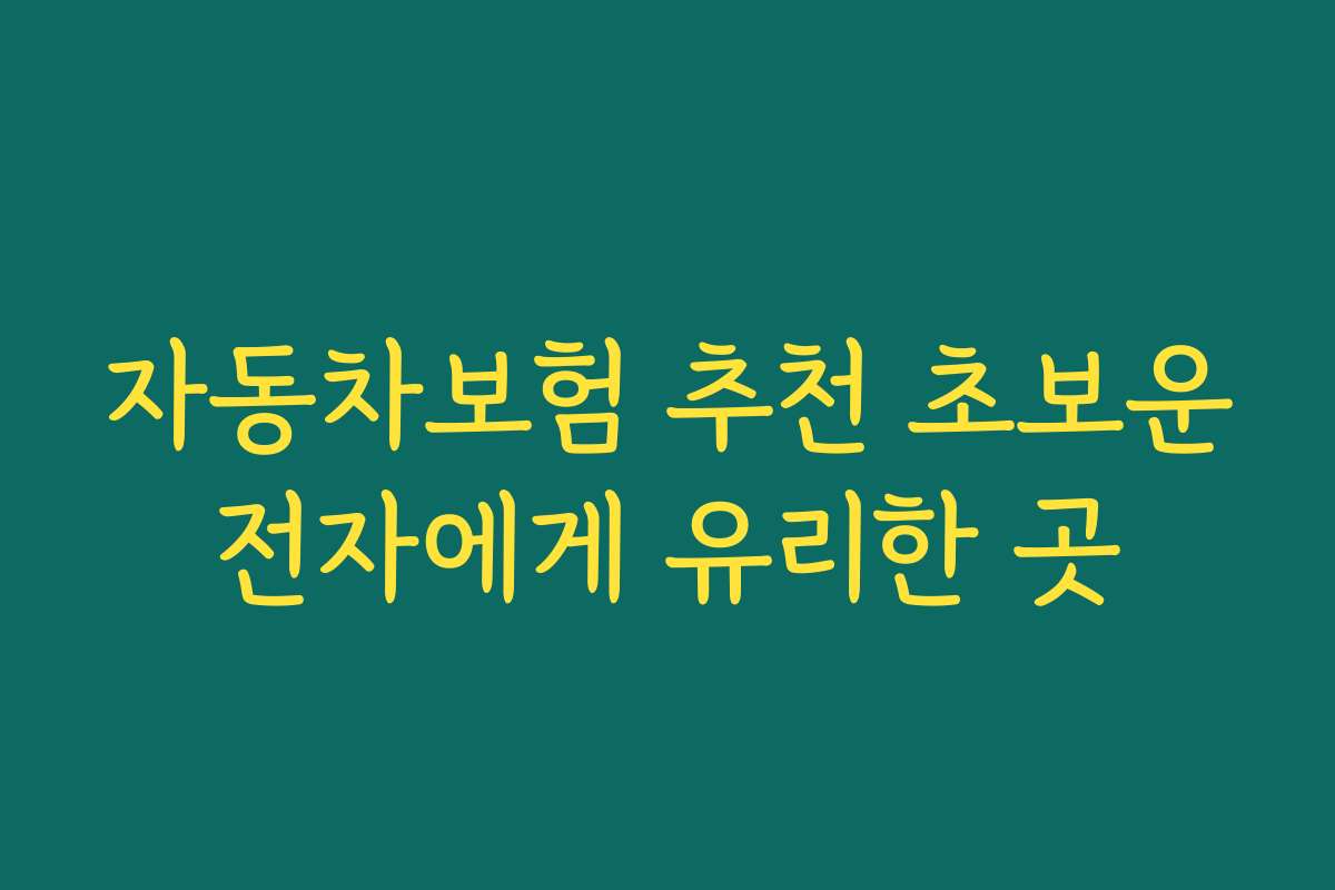 자동차보험 추천 초보운전자에게 유리한 곳 자동차보험 추천 초보운전자에게 유리한 곳