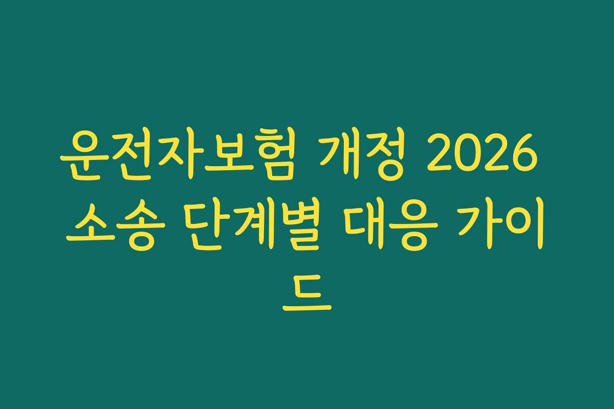 운전자보험 개정 2026 소송 단계별 대응 가이드