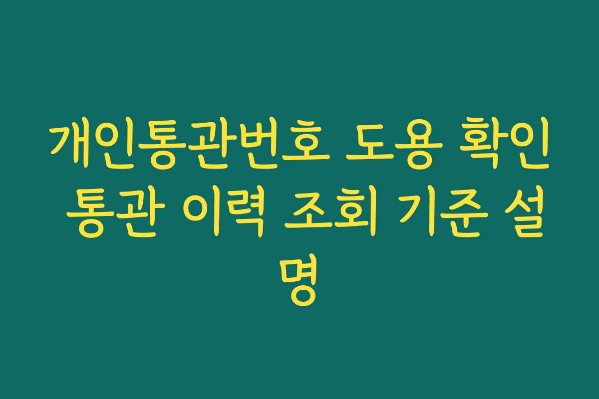 개인통관번호 도용 확인 통관 이력 조회 기준 설명