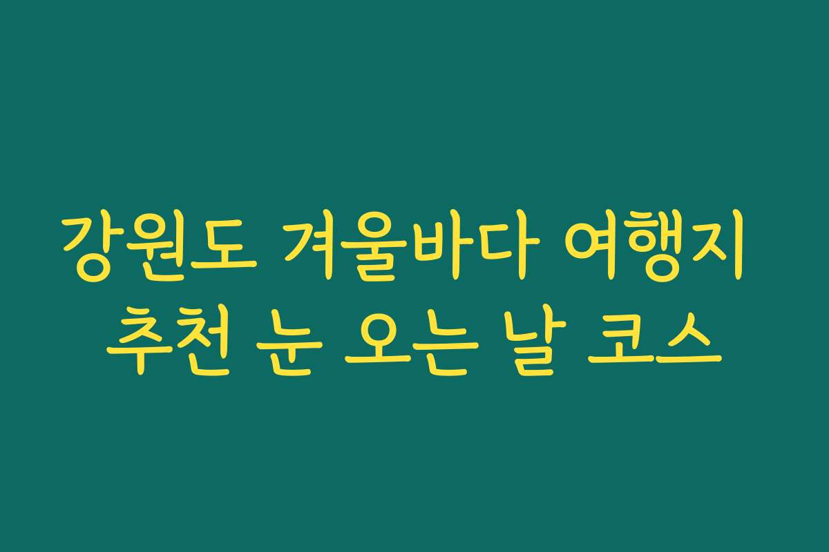 강원도 겨울바다 여행지 추천 눈 오는 날 코스