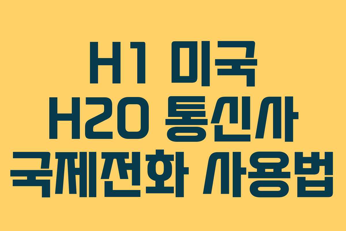 H1 미국 H2O 통신사 국제전화 사용법