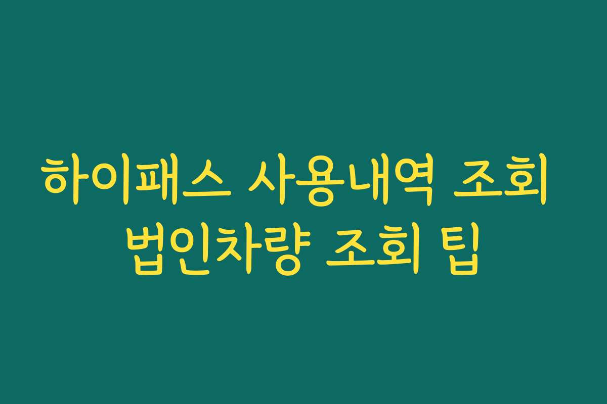 하이패스 사용내역 조회 법인차량 조회 팁