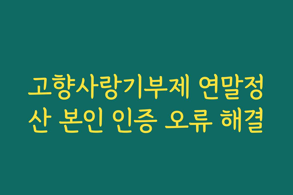 고향사랑기부제 연말정산 본인 인증 오류 해결 고향사랑기부제 연말정산 본인 인증 오류 해결