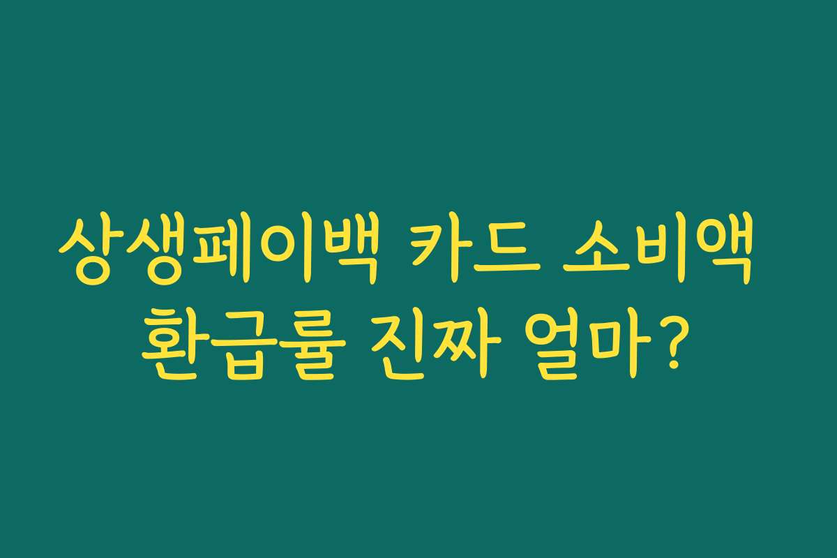 상생페이백 카드 소비액 환급률 진짜 얼마? 상생페이백 카드 소비액 환급률 진짜 얼마?
