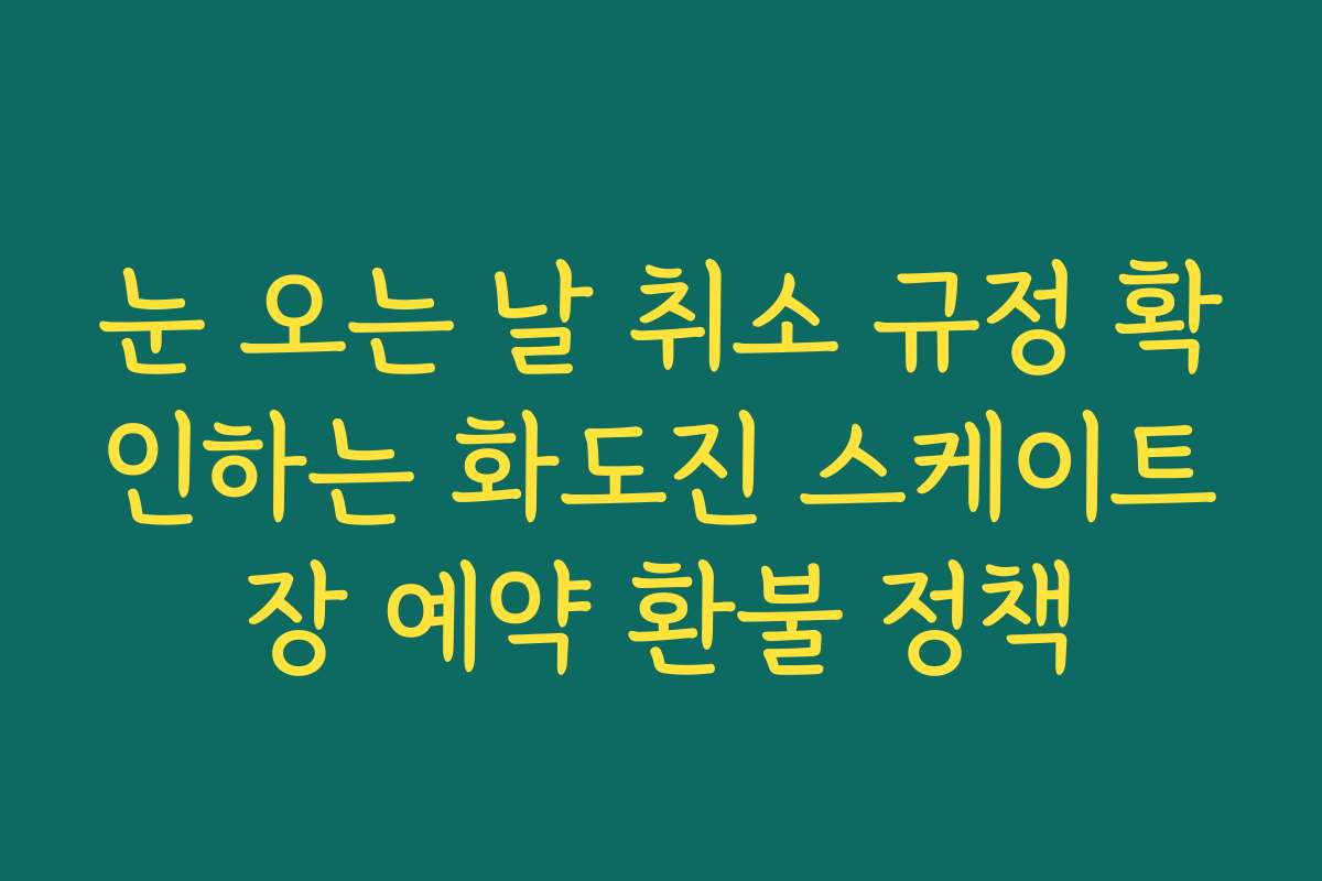 눈 오는 날 취소 규정 확인하는 화도진 스케이트장 예약 환불 정책