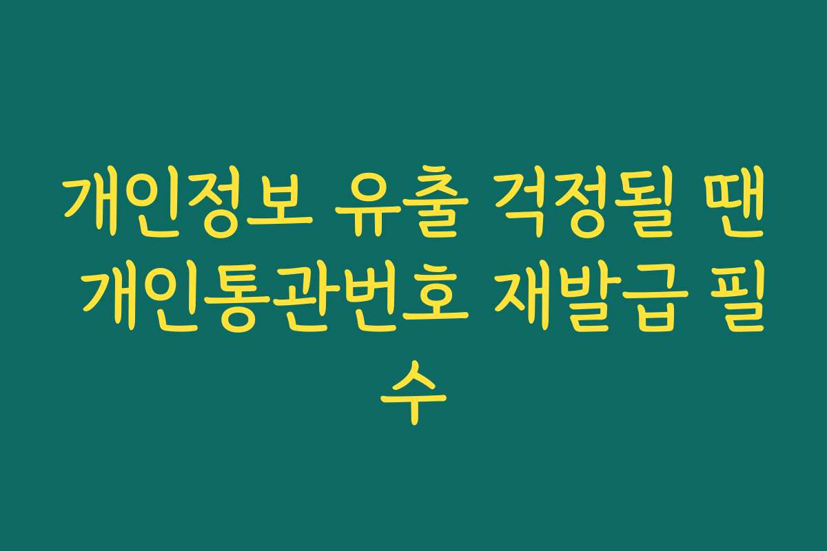 개인정보 유출 걱정될 땐 개인통관번호 재발급 필수 개인정보 유출 걱정될 땐 개인통관번호 재발급 필수
