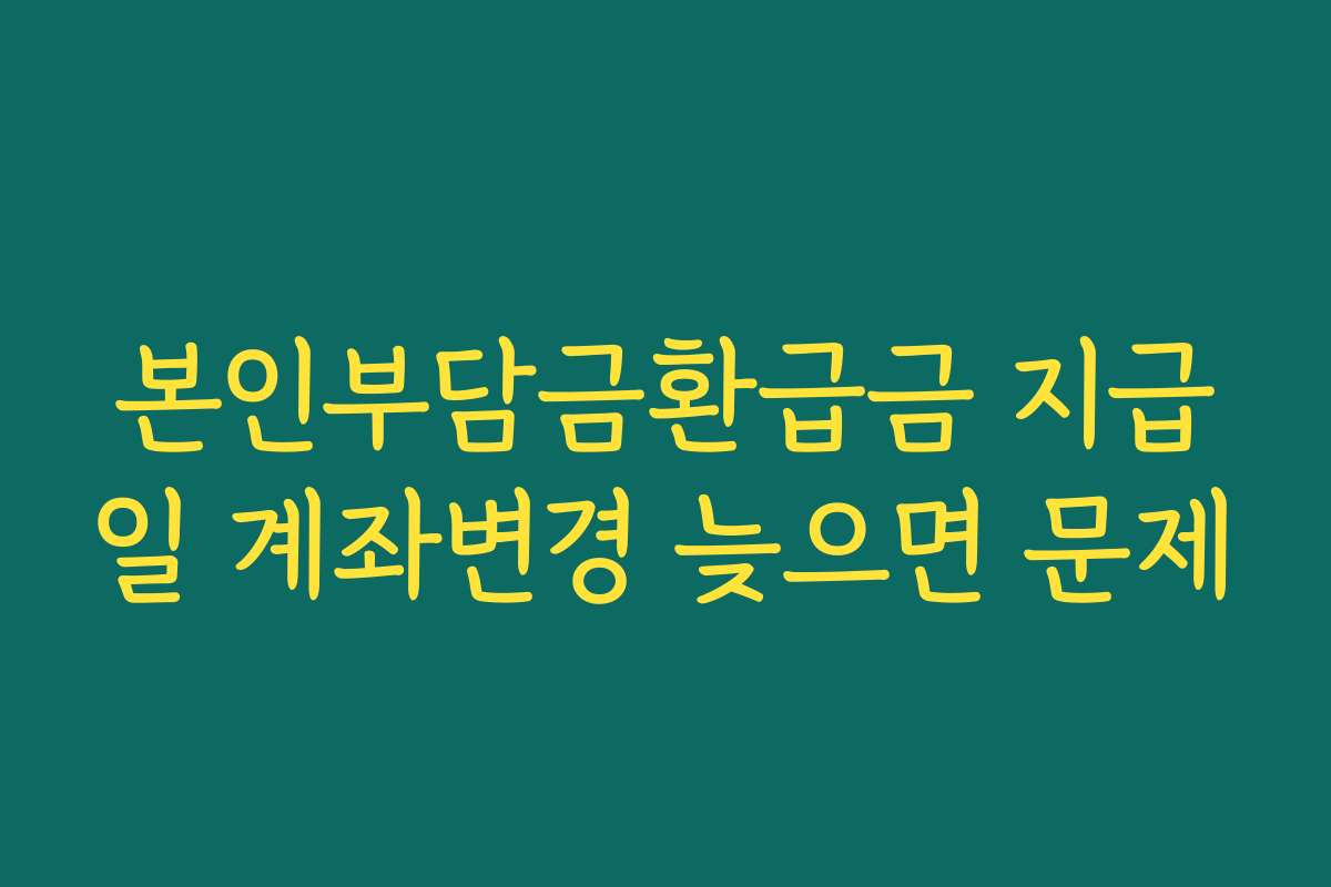본인부담금환급금 지급일 계좌변경 늦으면 문제 본인부담금환급금 지급일 계좌변경 늦으면 문제