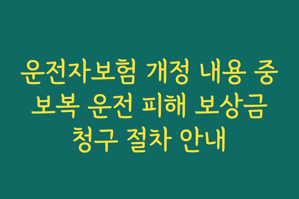 운전자보험 개정 내용 중 보복 운전 피해 보상금 청구 절차 안내 운전자보험 개정 내용 중 보복 운전 피해 보상금 청구 절차 안내