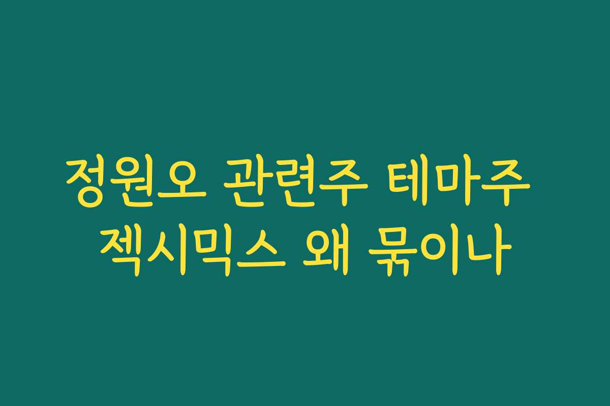 정원오 관련주 테마주 젝시믹스 왜 묶이나