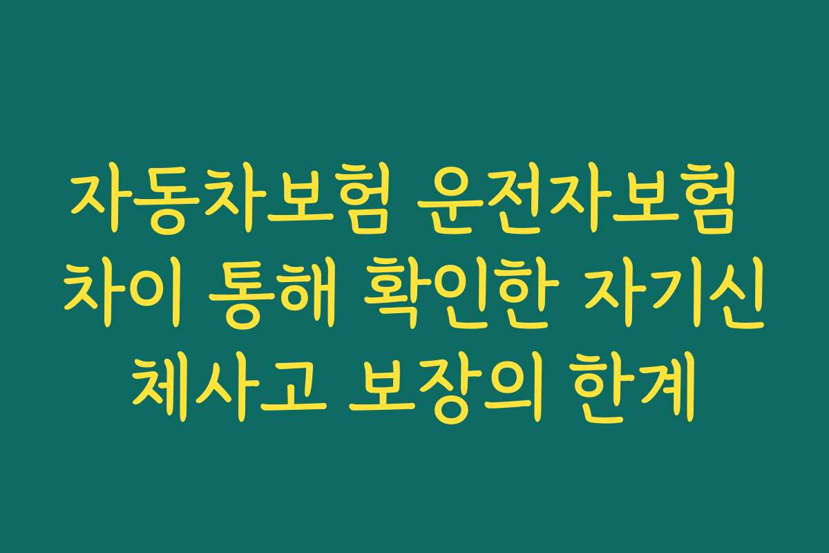 자동차보험 운전자보험 차이 통해 확인한 자기신체사고 보장의 한계 자동차보험 운전자보험 차이 통해 확인한 자기신체사고 보장의 한계