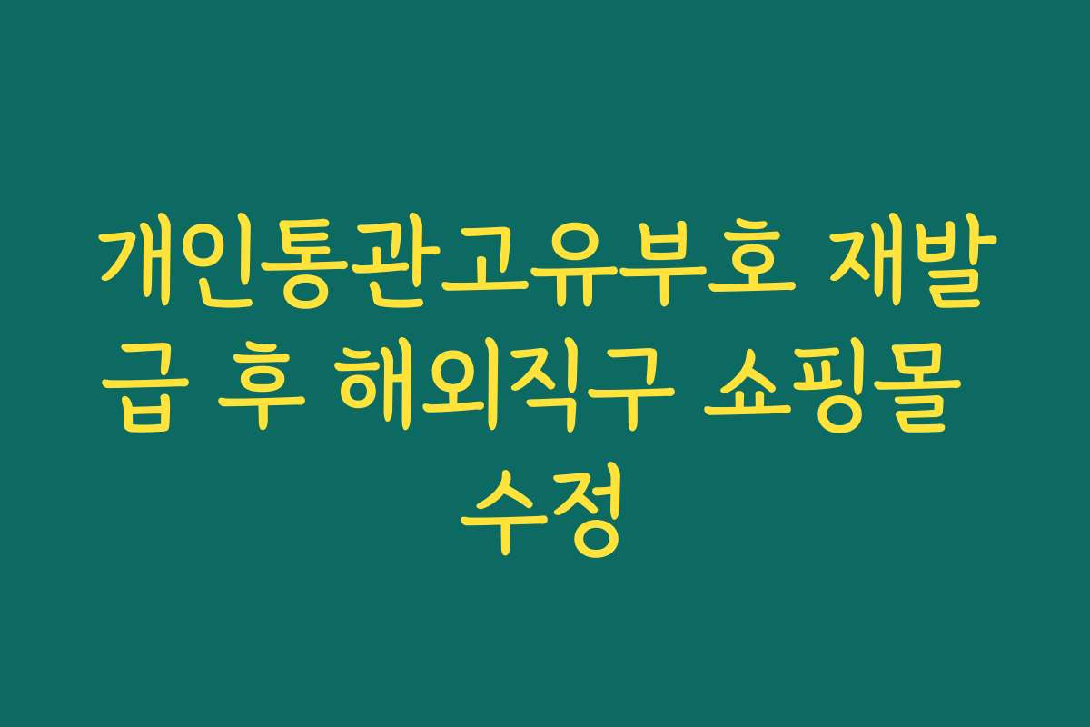 개인통관고유부호 재발급 후 해외직구 쇼핑몰 수정 개인통관고유부호 재발급 후 해외직구 쇼핑몰 수정