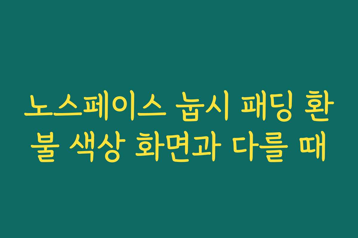 노스페이스 눕시 패딩 환불 색상 화면과 다를 때