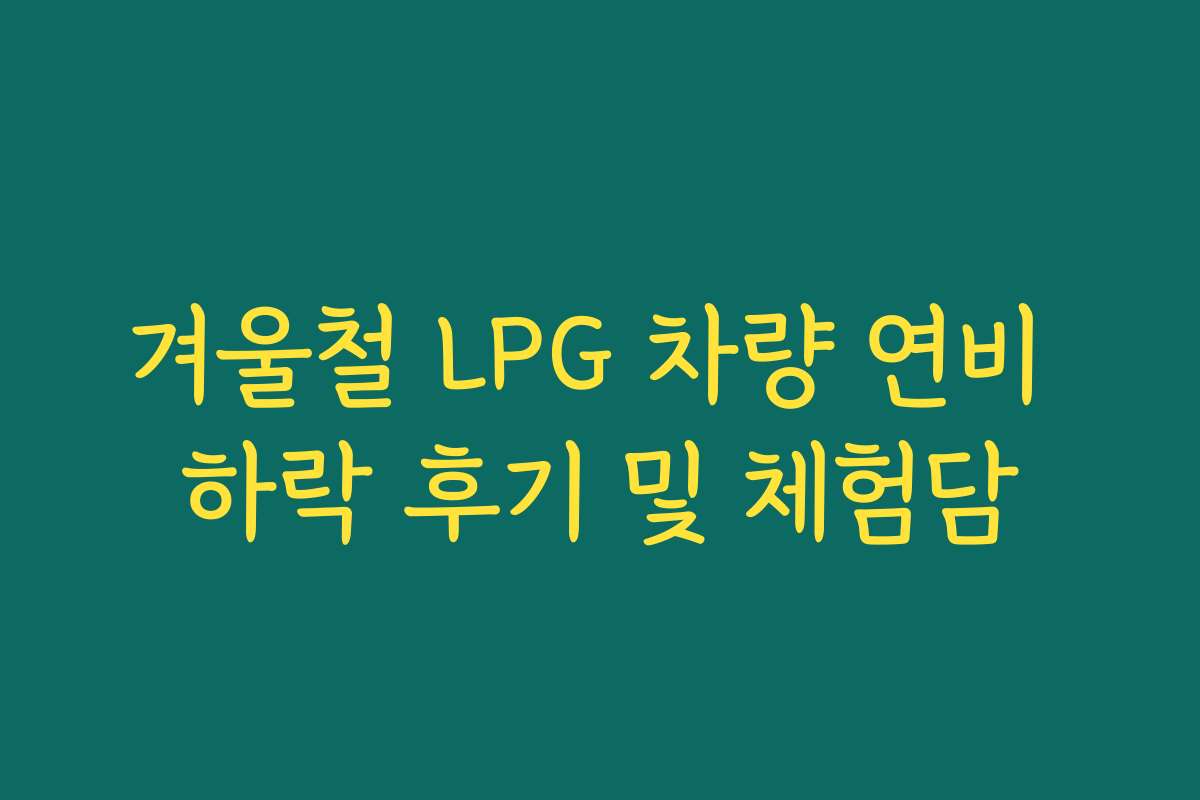 겨울철 LPG 차량 연비 하락 후기 및 체험담
