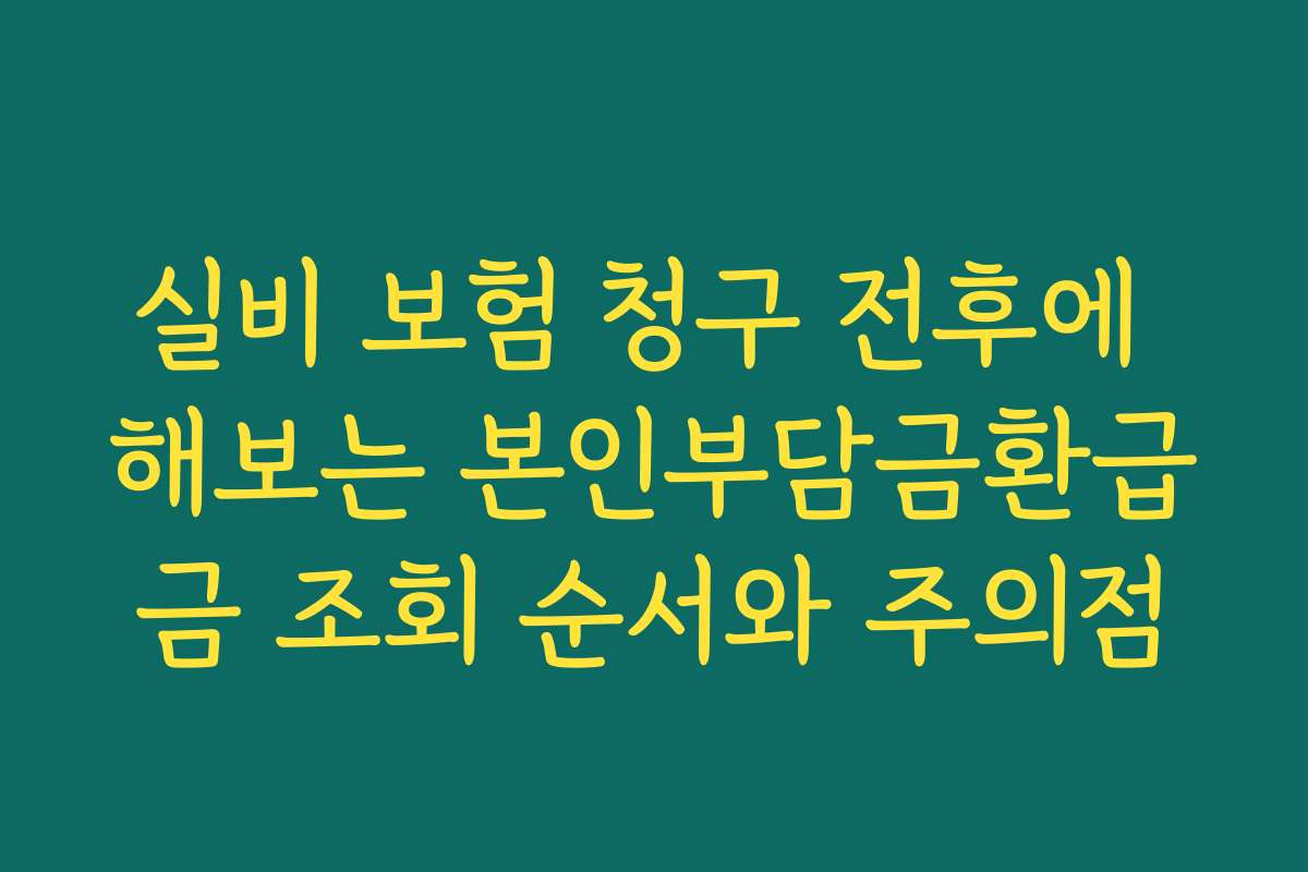 실비 보험 청구 전후에 해보는 본인부담금환급금 조회 순서와 주의점