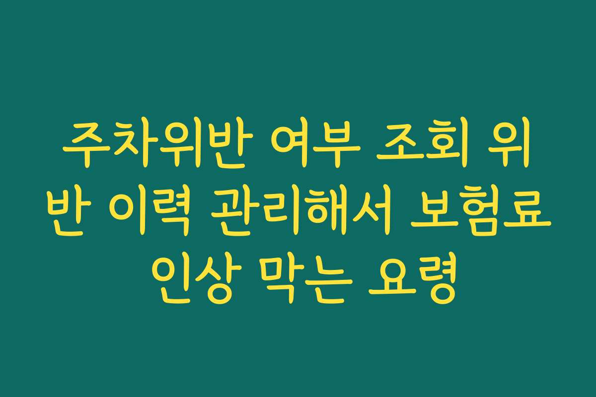 주차위반 여부 조회 위반 이력 관리해서 보험료 인상 막는 요령