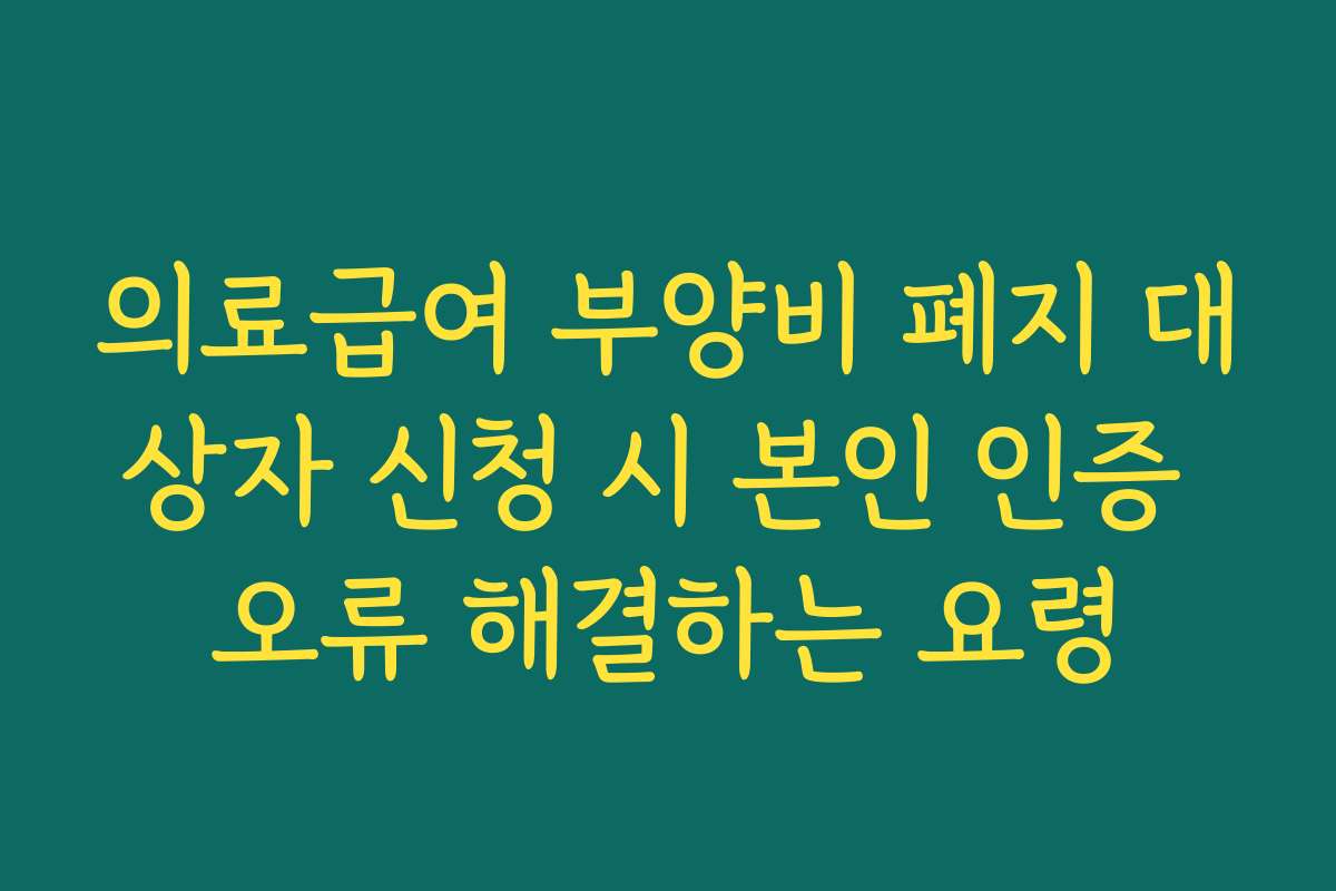 의료급여 부양비 폐지 대상자 신청 시 본인 인증 오류 해결하는 요령