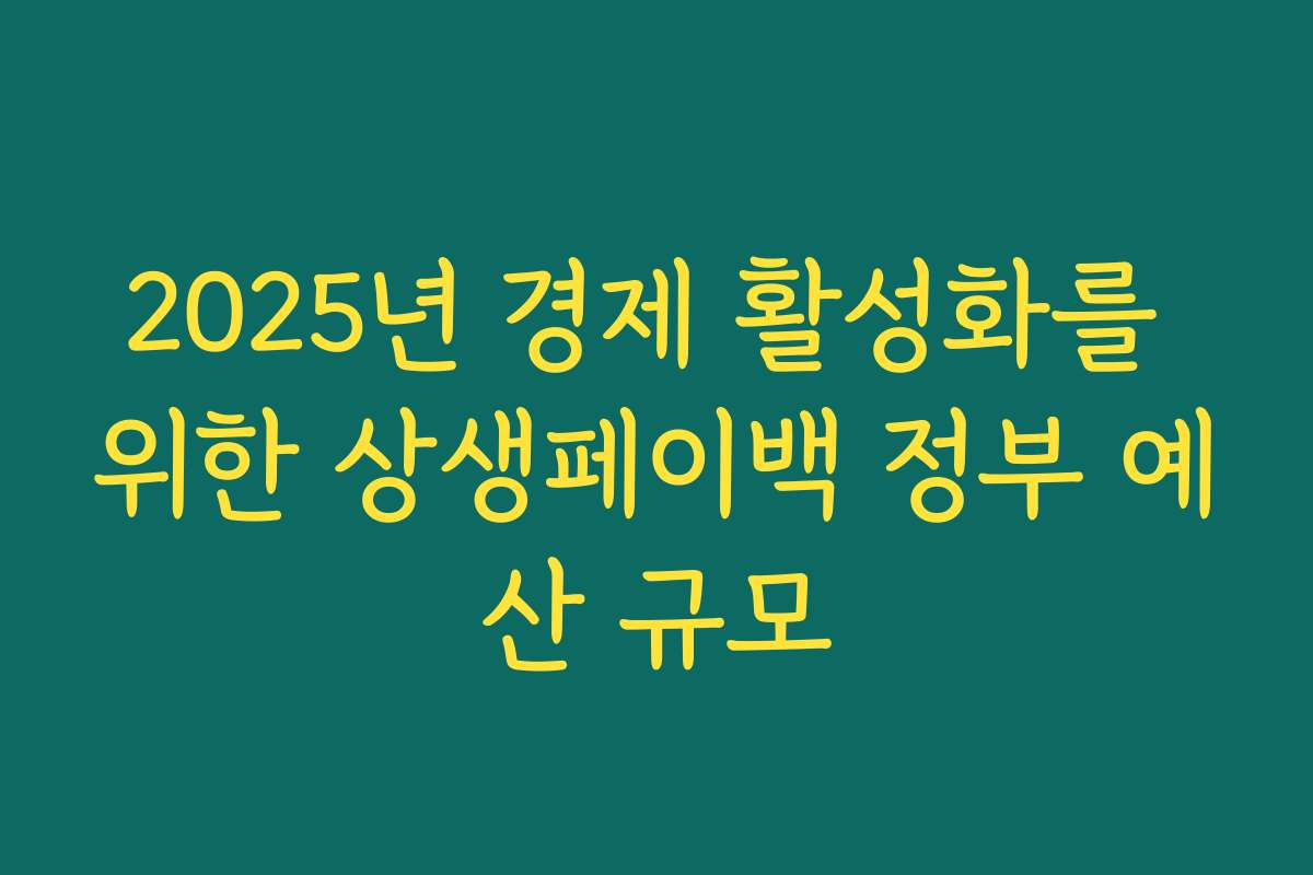 2025년 경제 활성화를 위한 상생페이백 정부 예산 규모