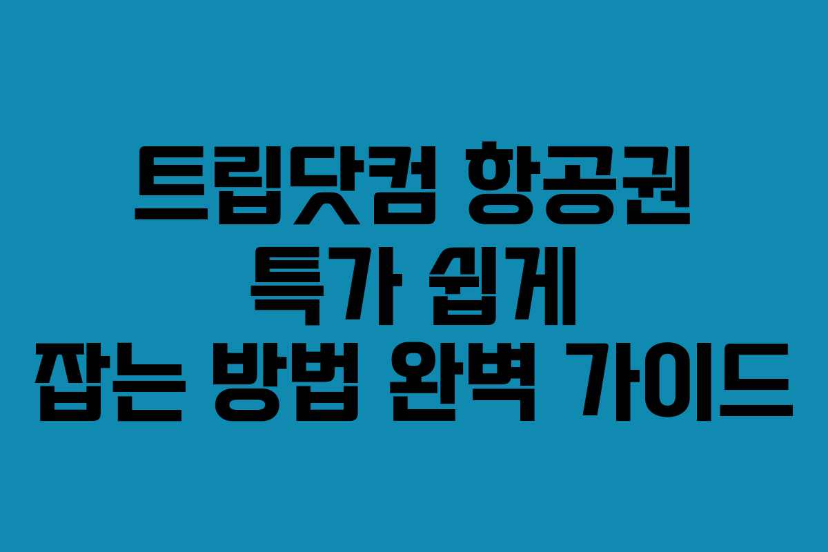 트립닷컴 항공권 특가 쉽게 잡는 방법 완벽 가이드