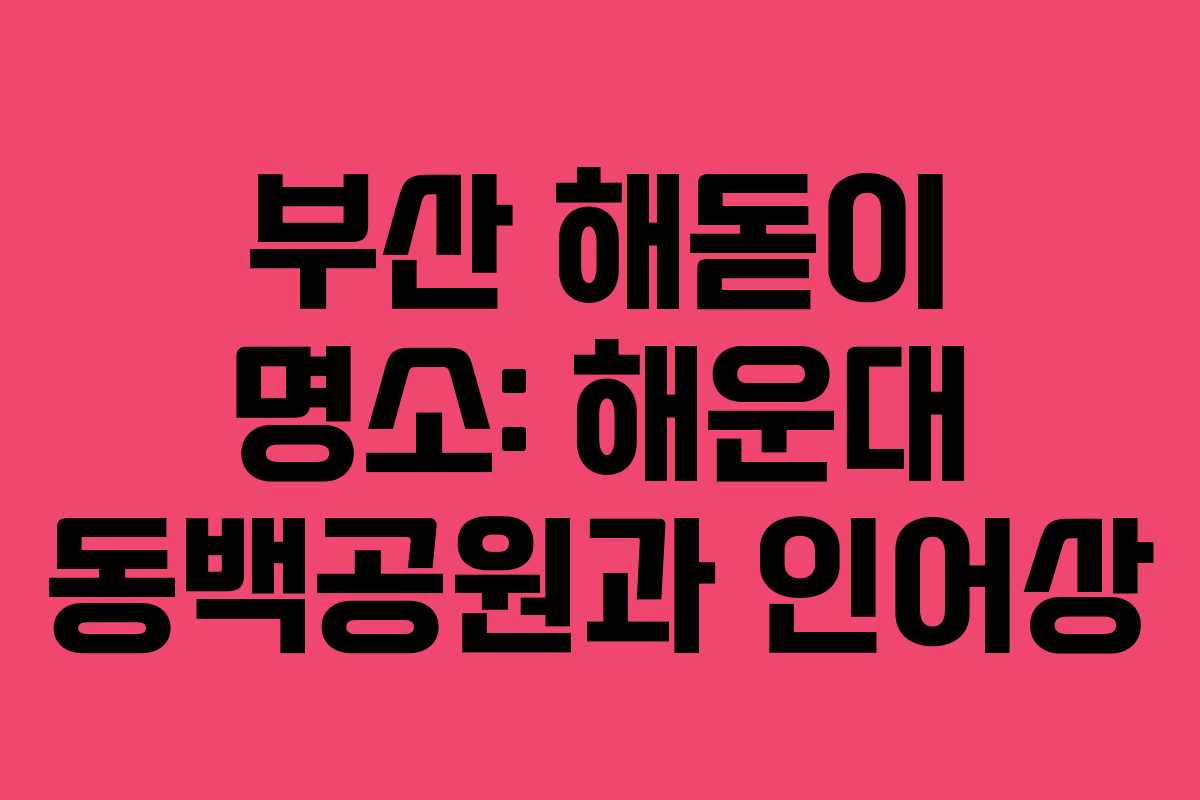 부산 해돋이 명소: 해운대 동백공원과 인어상