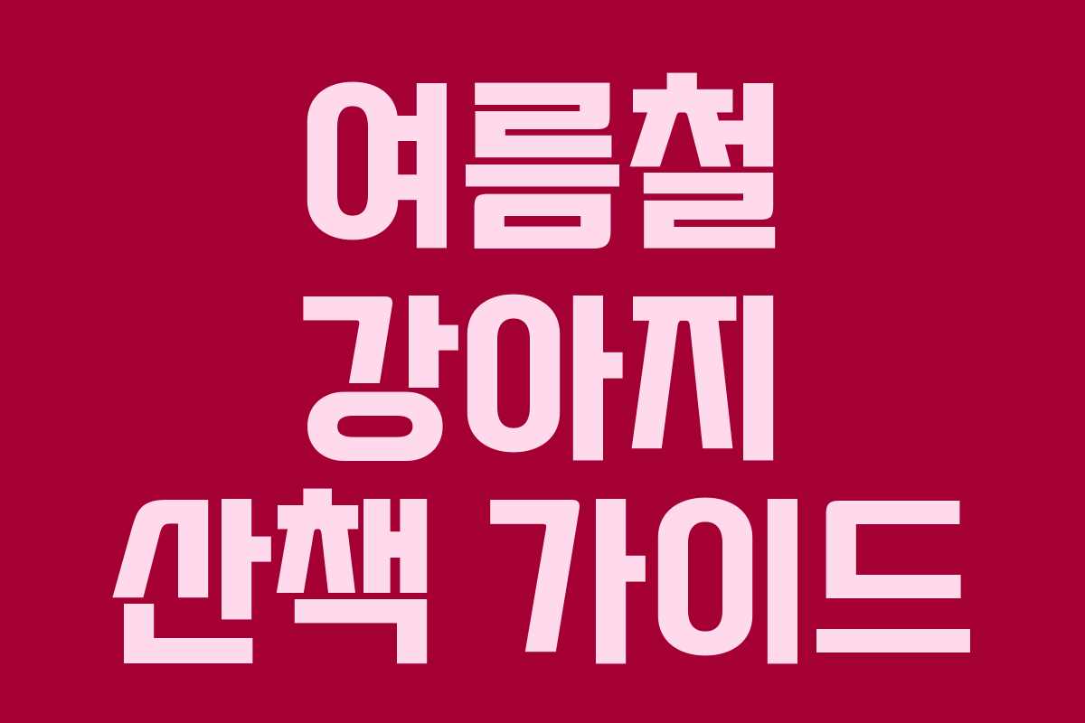 여름철 강아지 산책 가이드