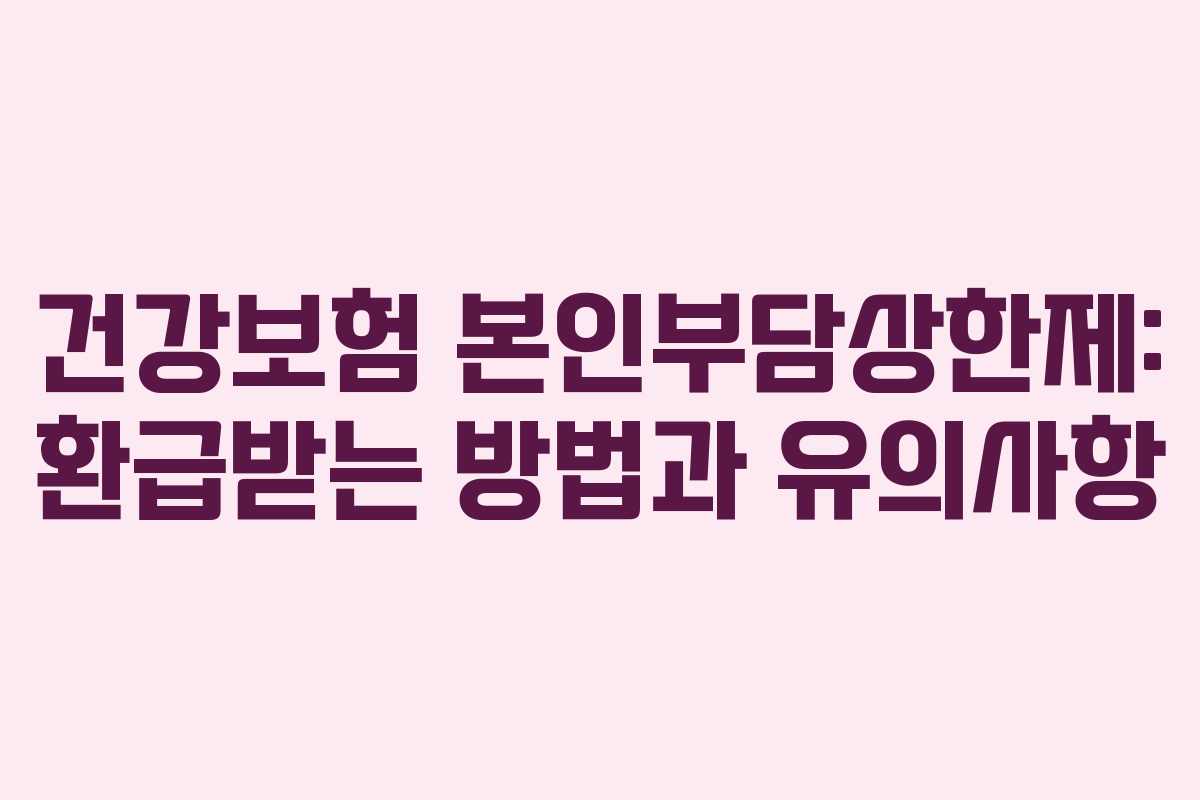 건강보험 본인부담상한제: 환급받는 방법과 유의사항