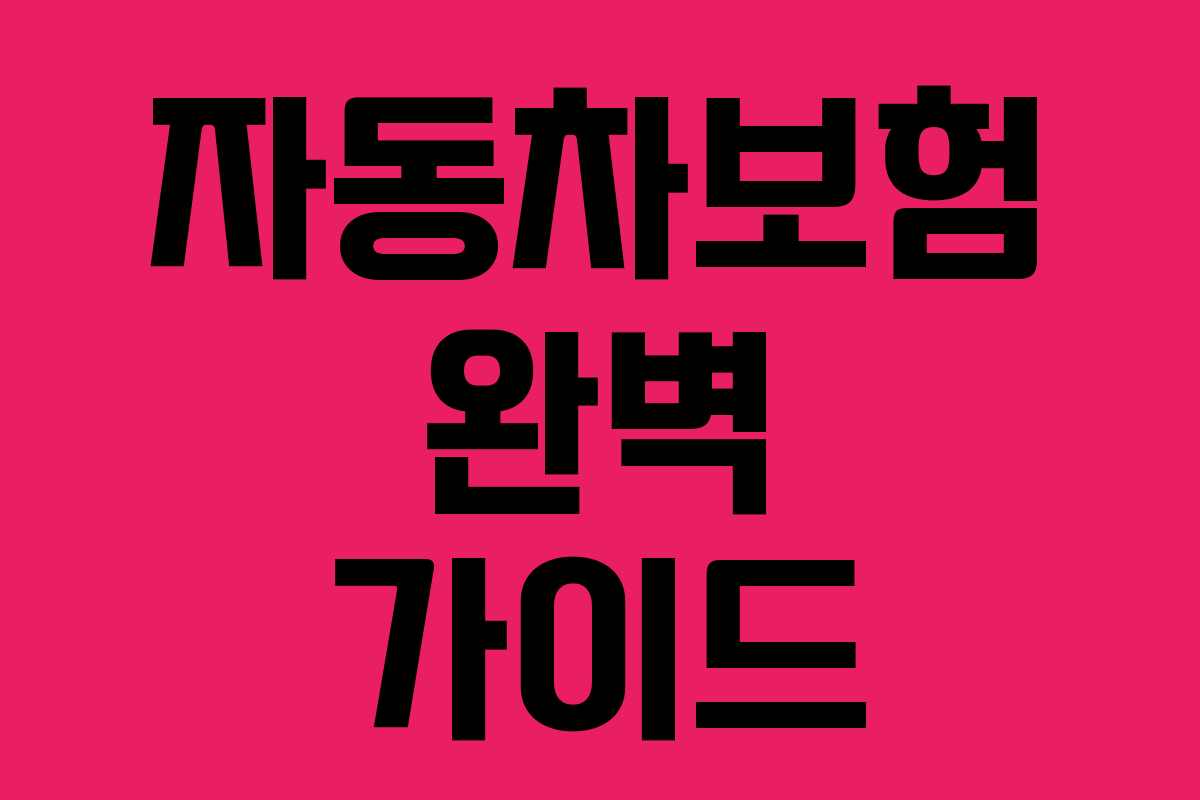 자동차보험 완벽 가이드