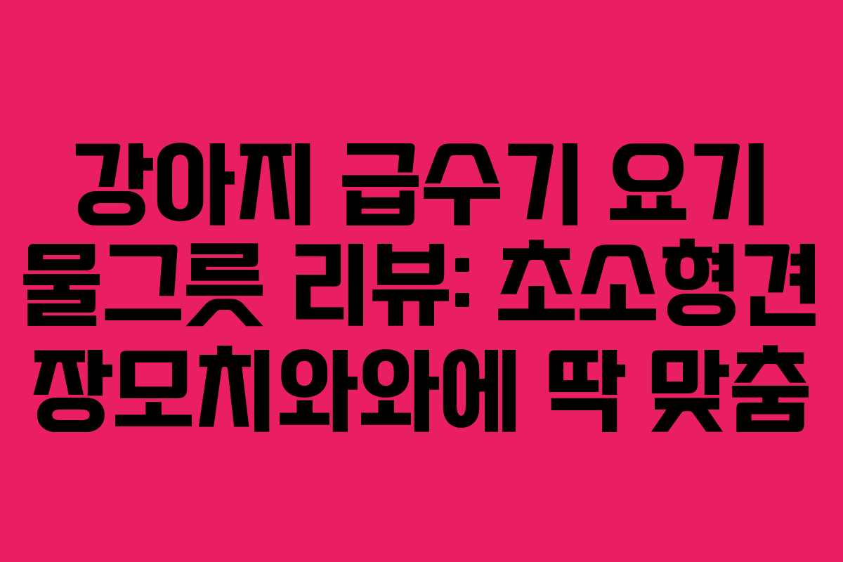 강아지 급수기 요기 물그릇 리뷰: 초소형견 장모치와와에 딱 맞춤