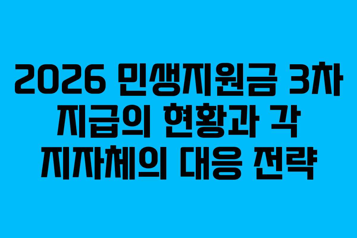 2026 민생지원금 3차 지급의 현황과 각 지자체의 대응 전략