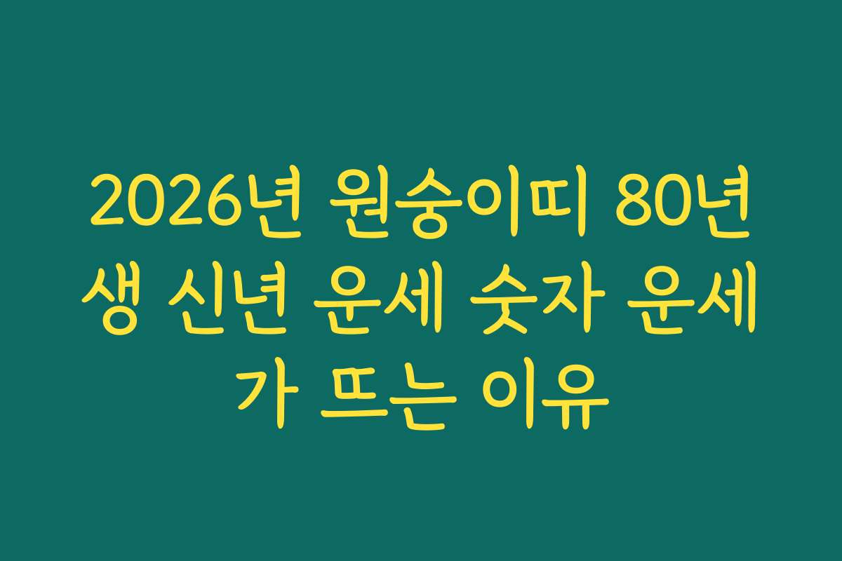2026년 원숭이띠 80년생 신년 운세 숫자 운세가 뜨는 이유