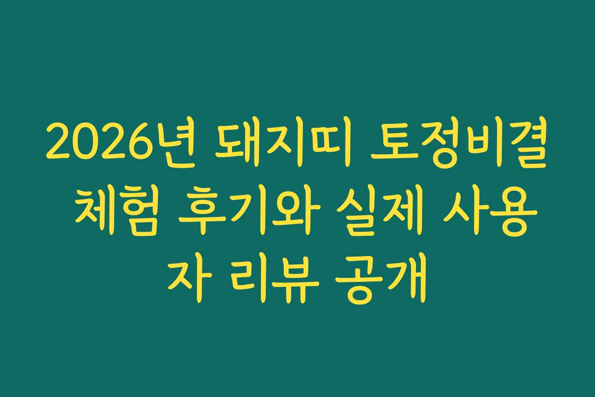 2026년 돼지띠 토정비결 체험 후기와 실제 사용자 리뷰 공개