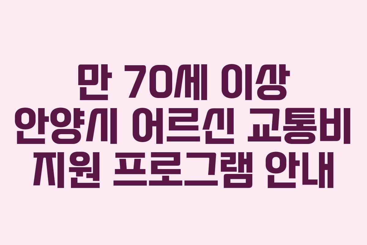 만 70세 이상 안양시 어르신 교통비 지원 프로그램 안내 만 70세 이상 안양시 어르신 교통비 지원 프로그램 안내