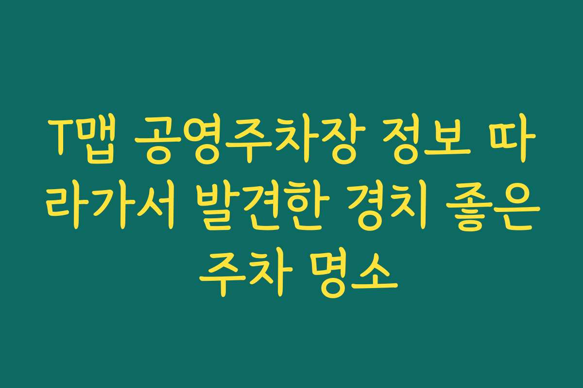 T맵 공영주차장 정보 따라가서 발견한 경치 좋은 주차 명소